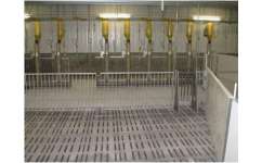 濰坊現(xiàn)代化養(yǎng)豬設備供貨商 性價比高的養(yǎng)殖解決方案