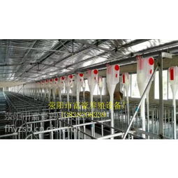 中國養豬設備供應商與價格分析