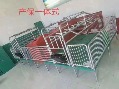 母豬產(chǎn)床與保育床兩用設(shè)備 提升養(yǎng)豬效率的關(guān)鍵