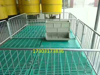 家禽產品信息概覽與現代養豬設備技術發展